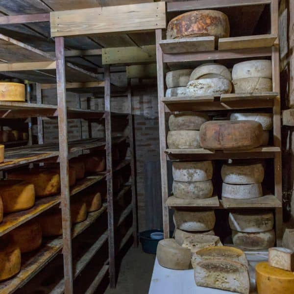 cheese aging shelves