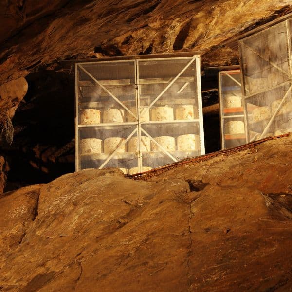 cheese-in-a-cave
